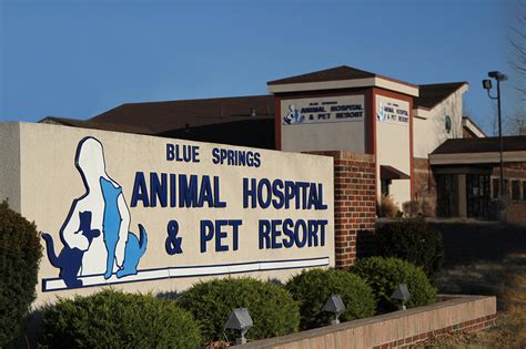 Blue springs animal hospital mo - Blue Springs Animal Hospital and Pet Resort is a veterinary clinic and boarding kennel serving Blue Springs, Independence, Kansas City, and surrounding areas in MO. Website....